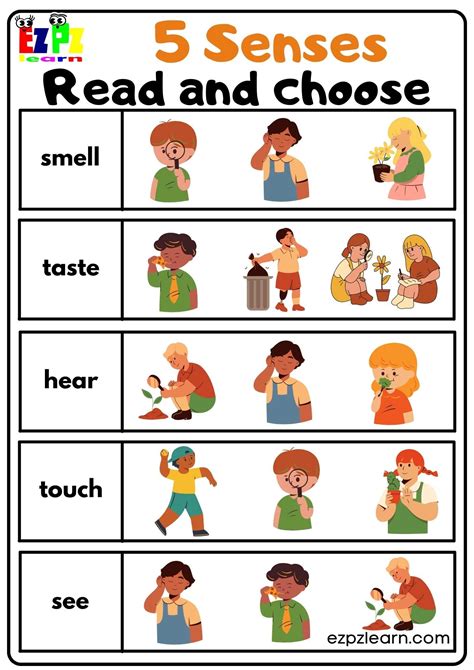 5 Senses Worksheets