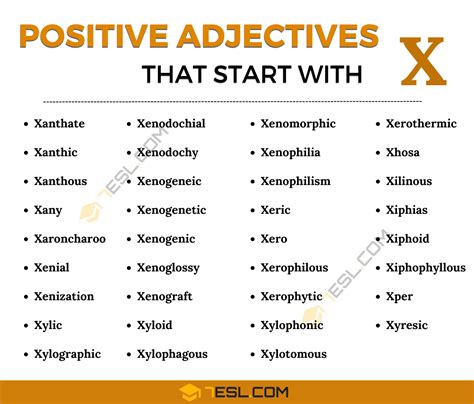 Adjective Letter X