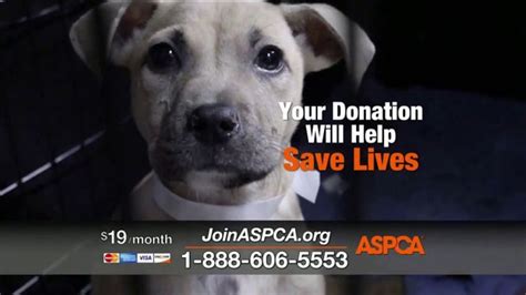 Aspca Ads
