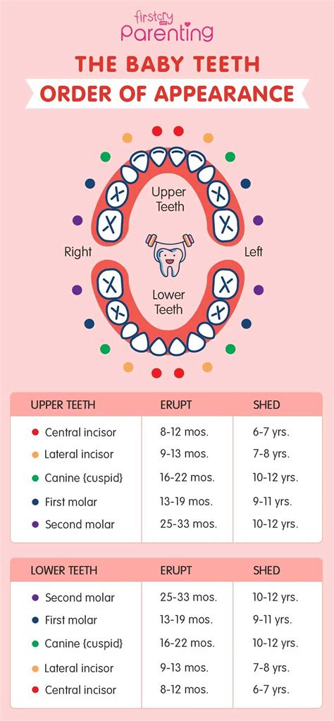 Baby Teeth Order