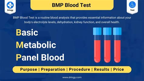 Basic Metabolic Panel Blood Test