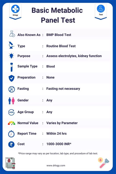 Basic Metabolic Panel Test