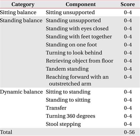 Berg Balance Scale Scoring