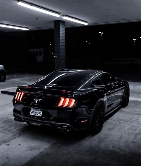 Black Mustang