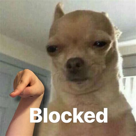 Blocked Meme