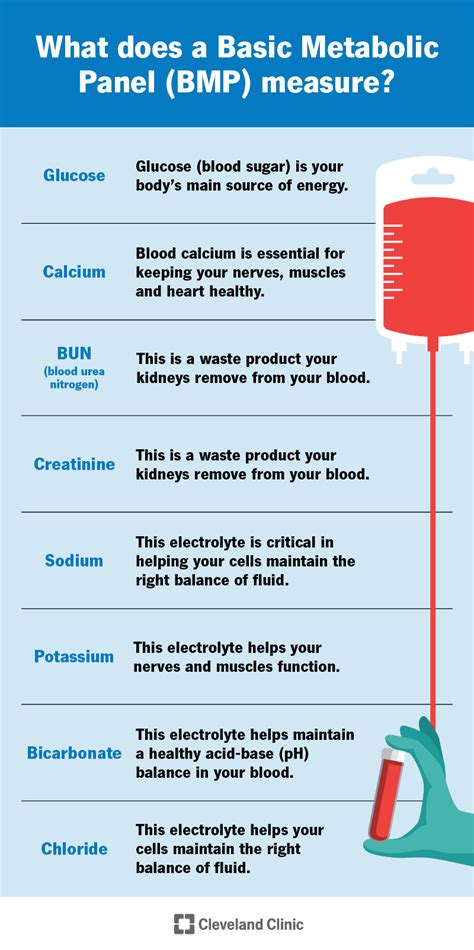 Blood Test Basic Metabolic