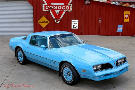 Blue Bird Trans Am