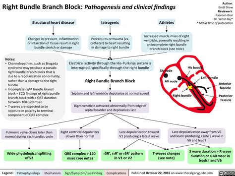 Bundle Branch Disease