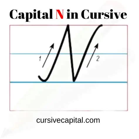 Capital Cursive N