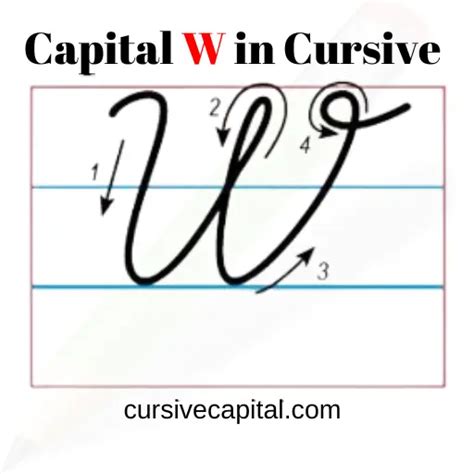 Capital Cursive W