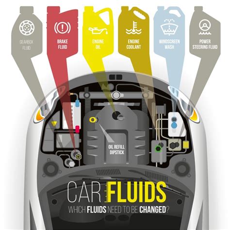 Car Fluids