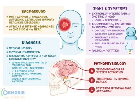 Causes Of Cluster Headaches