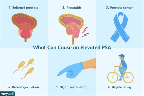 Causes Of Elevated Psa
