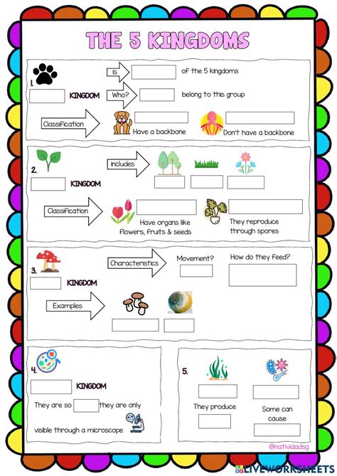 Classification And Kingdoms Worksheet