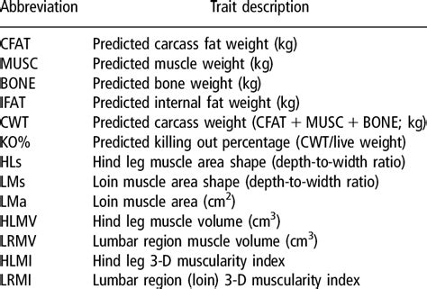 Computed Tomography Abbreviations