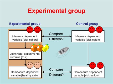 Control Group And Experimental Group