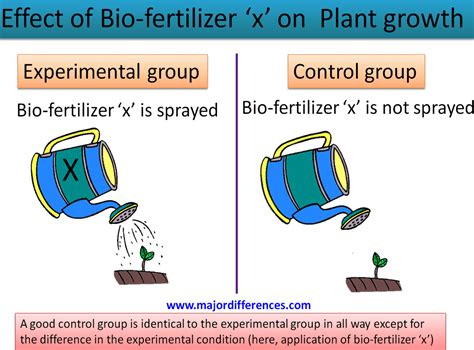 Control Group Vs Experimental Group