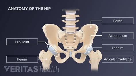 Cracked Bone In Hip