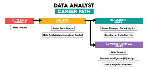 Data Analyst Occupation