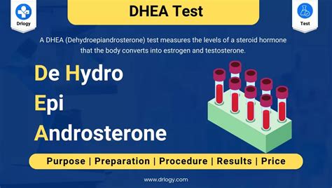 Dhea Lab Test