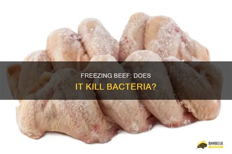 Does Freezing Kill Bacteria
