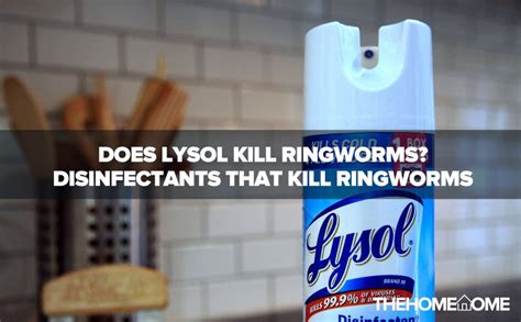 Does Lysol Kill Ringworm