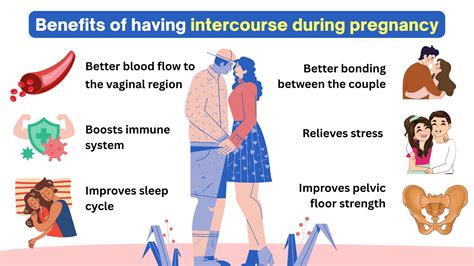 During Pregnancy Intercourse