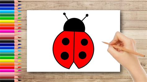 Easy Ladybug Drawing