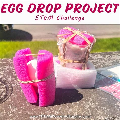 Egg Drop Project Ideas