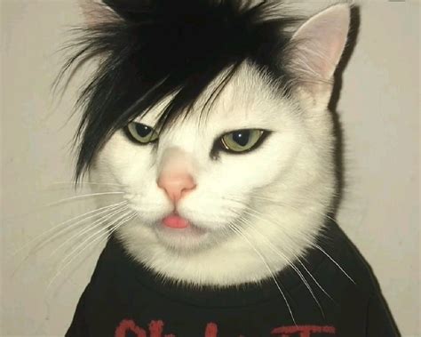 Emo Kitten Nudes