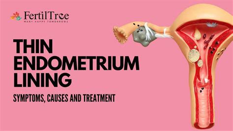Endometrium Thin Lining