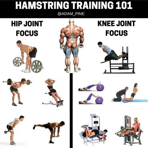 Exercises For Hamstrings