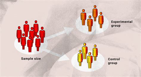 Experimental Group Definition