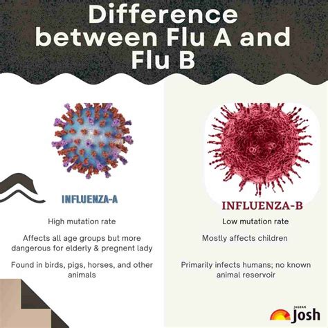Flu B Vs Flu A