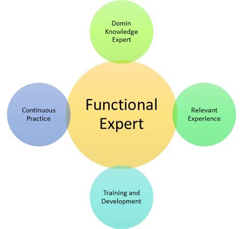 Functional Expert Meaning