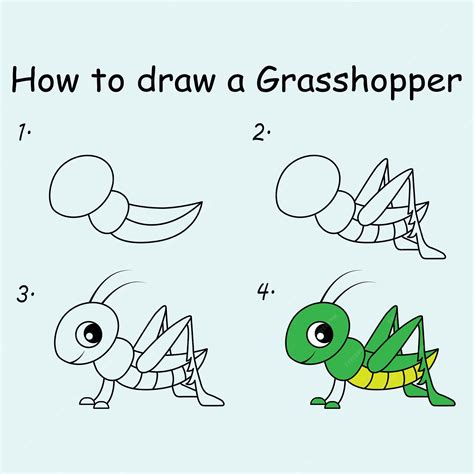 Grasshopper Drawing Easy