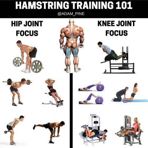 Hamstring Strength Exercises