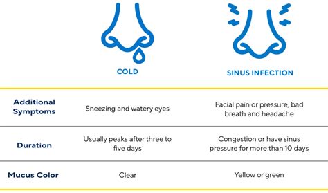 Head Cold Vs Sinus