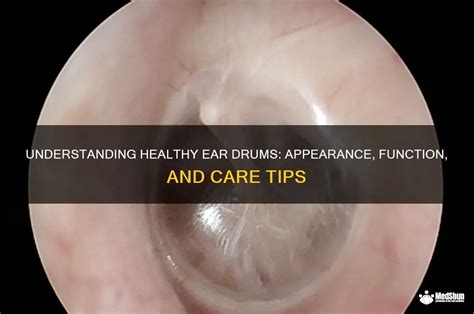 Healthy Ear Drum