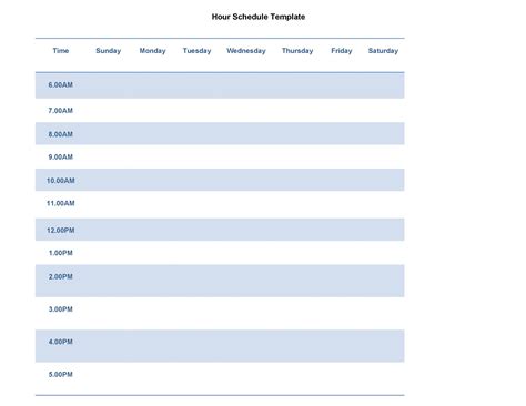 Hourly Schedule Template Word