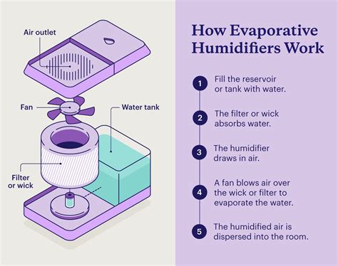 How Does A Humidifier Work