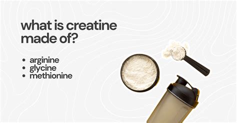 How Is Creatine Made