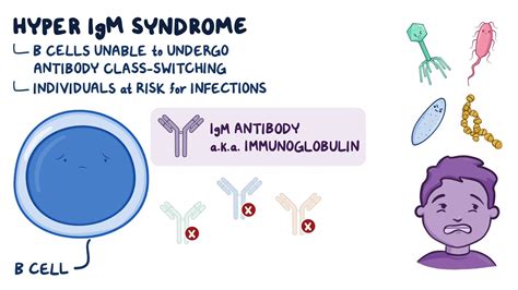 Hyper Igm Syndrome