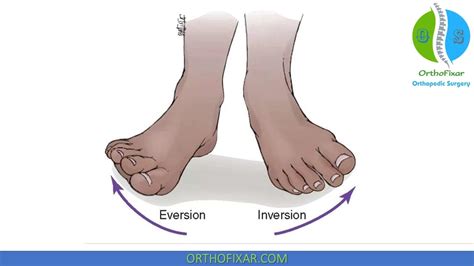 Inversion Of Ankle