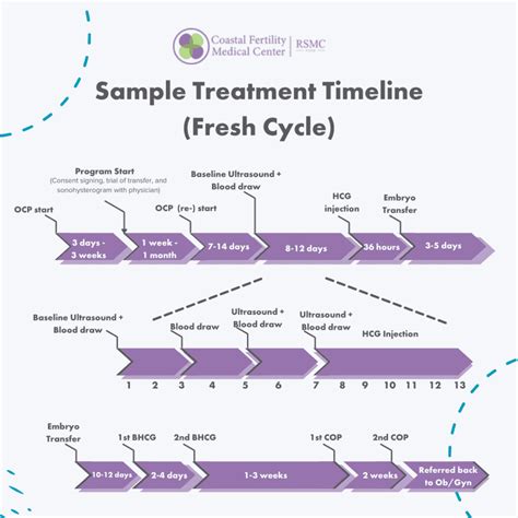 Ivf Process Timeline