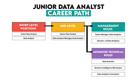 Junior Data Analyst