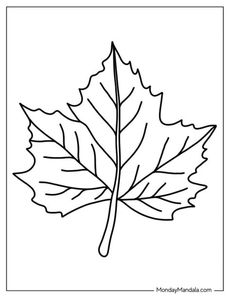 Leaf Coloring Page