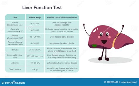 Liver Function Panel Test