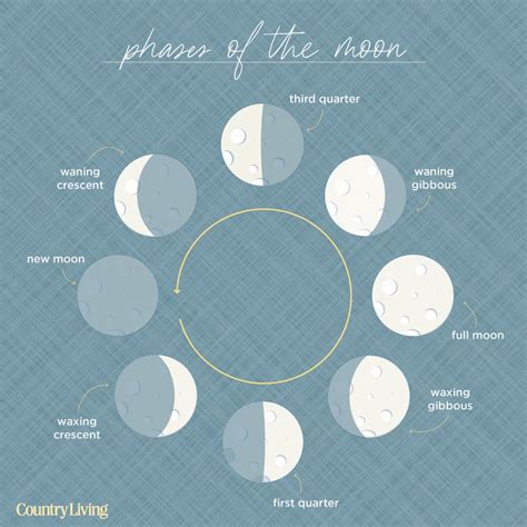 Lunar Cycle Project