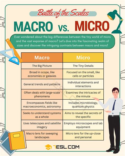 Macros Vs Micros